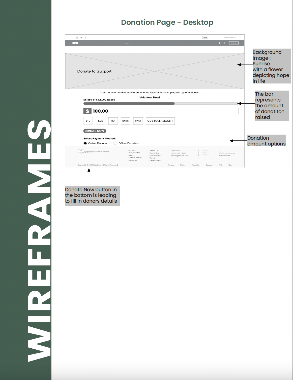 carecan  web app donation page low fidelity wireframes